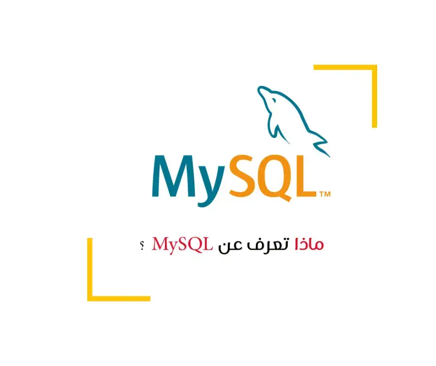 ماذا تعرف عن MySQL؟